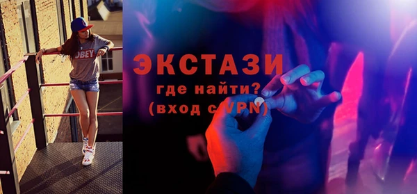 индика Козельск