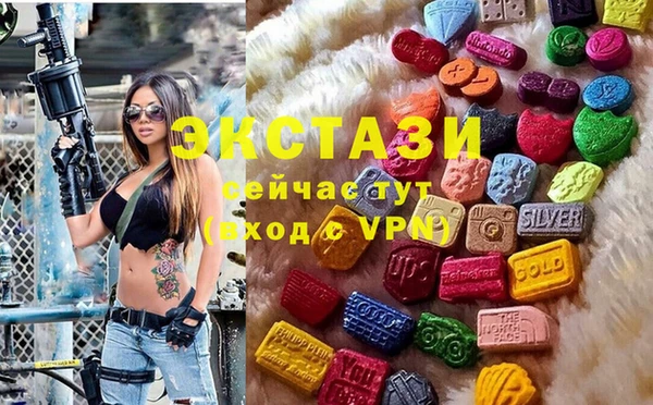 индика Козельск