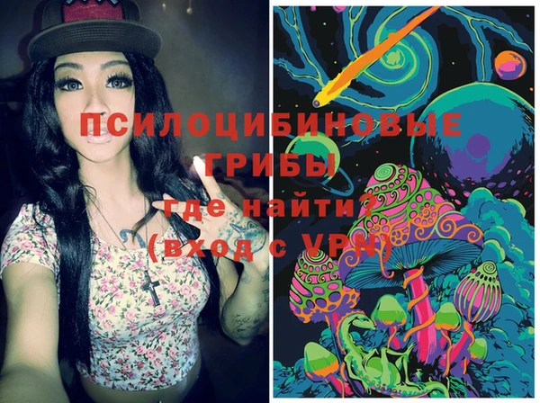 ECSTASY Кодинск