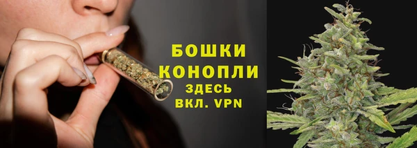 ECSTASY Кодинск