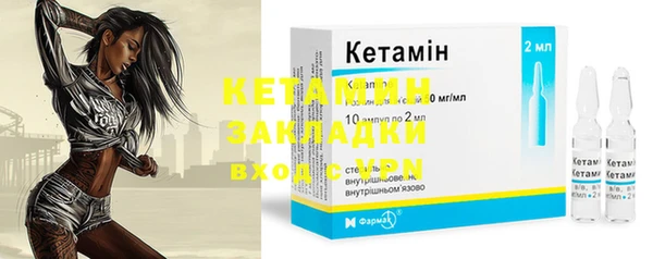 индика Козельск