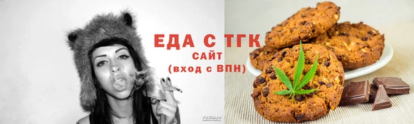 индика Козельск