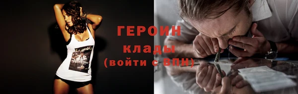 индика Козельск