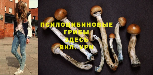 индика Козельск