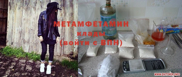 индика Козельск