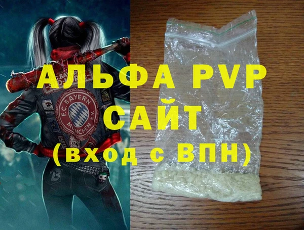 индика Козельск