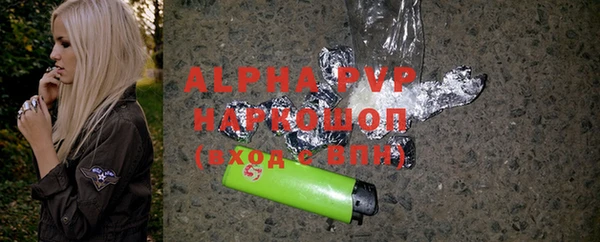индика Козельск