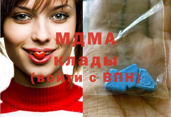 индика Козельск