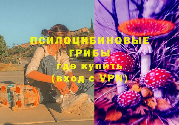 ECSTASY Кодинск