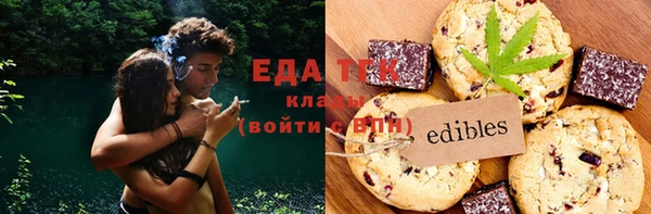 индика Козельск