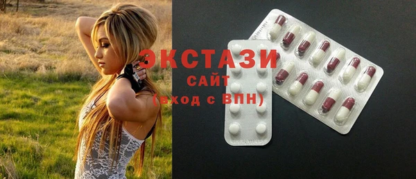 индика Козельск