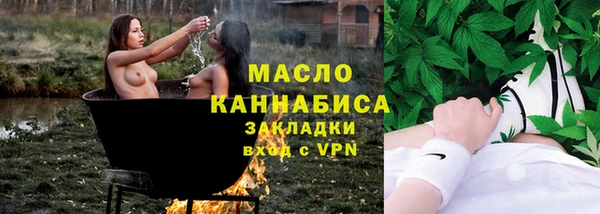 индика Козельск