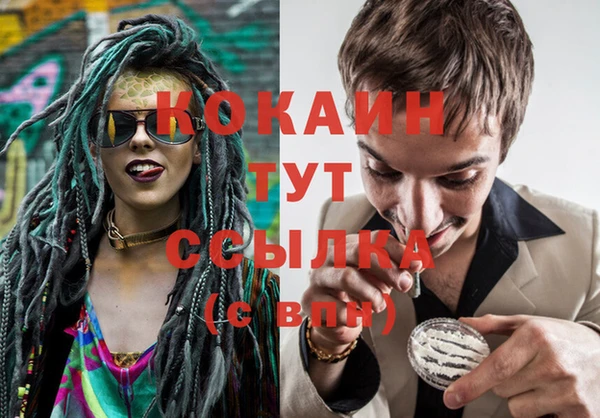 индика Козельск