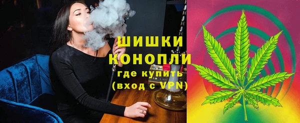 индика Козельск