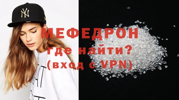 индика Козельск