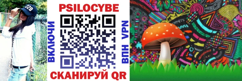 Псилоцибиновые грибы Cubensis  что такое наркотик  Чкаловск 